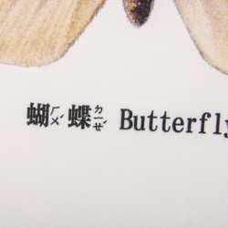 抱枕：蝴蝶 Butterfly（雙面抱枕） 第3張的照片