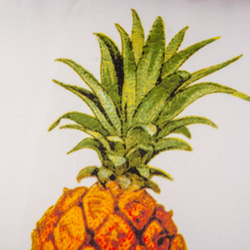 抱枕：鳳梨 Pineapple（雙面抱枕） 第2張的照片