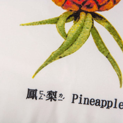 抱枕：鳳梨 Pineapple（雙面抱枕） 第3張的照片