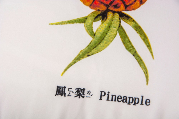 抱枕：鳳梨 Pineapple（雙面抱枕） 第3張的照片