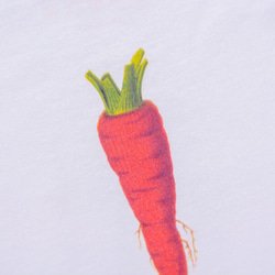 包屁衣：紅蘿蔔 Carrot 第2張的照片