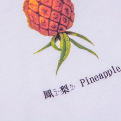 Baby Clothing：鳳梨 Pineapple 3枚目の画像