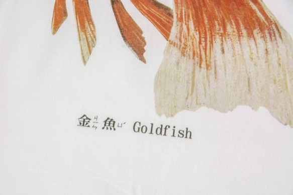 短袖T恤：金魚 Goldfish（黑色/白色T可選） 第6張的照片