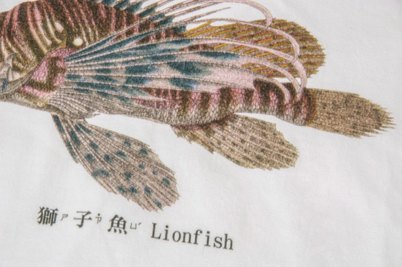 T-Shirt：獅子魚 Lionfish（Black/White Colors） 6枚目の画像