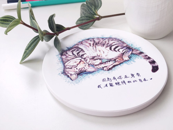 【動物插畫】陶瓷吸水杯墊《熟睡虎斑貓》 第3張的照片