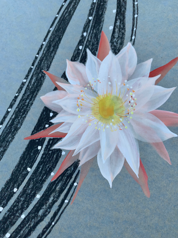 柱サボテンの花　【原画　A4サイズ】 2枚目の画像
