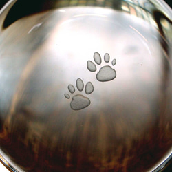 犬ロックグラス・マグカップ「トイプードル」 5枚目の画像