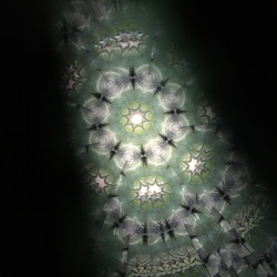 万華鏡「紫陽花2」 6枚目の画像
