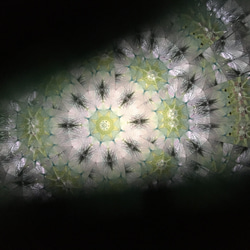 万華鏡「紫陽花2」 7枚目の画像