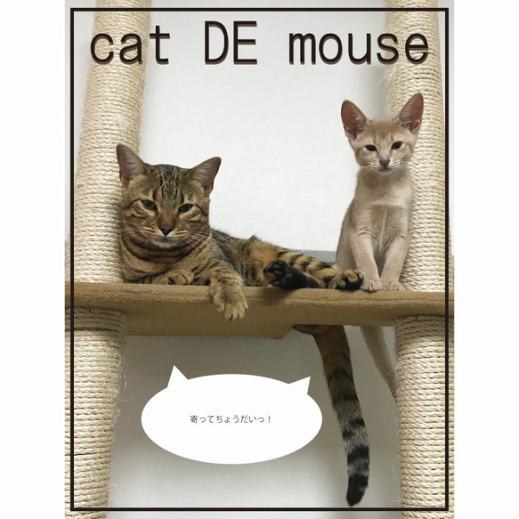 cat DE mouse マルチストーンピアス≪タンブルカット≫≪片耳≫≪シルバー≫ 7枚目の画像