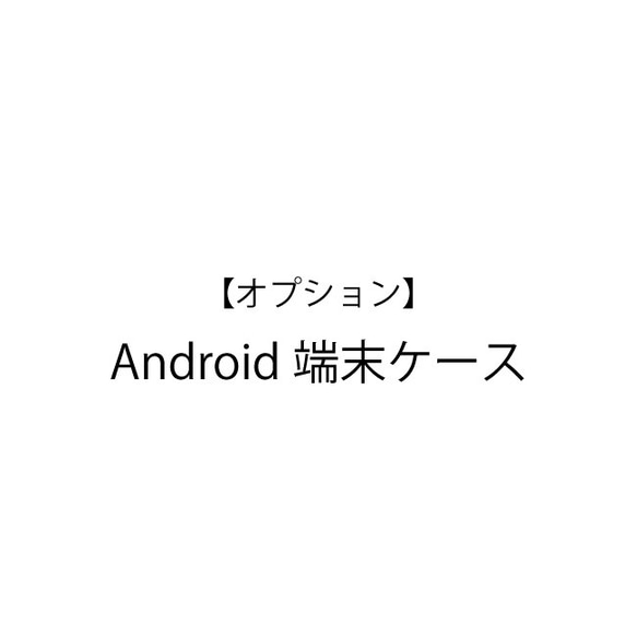 [選項] Android 機箱附加價格 第1張的照片