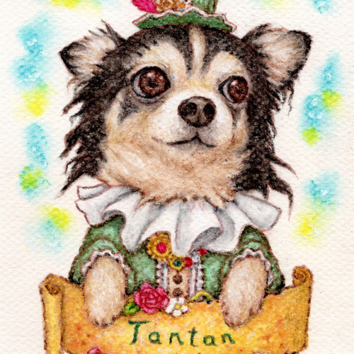【ペット画ミニサイズ】オーダー制作　犬　猫　動物　イラスト ペット画ミニサイズ】オーダー制作 犬 猫 動物 - メルカリ