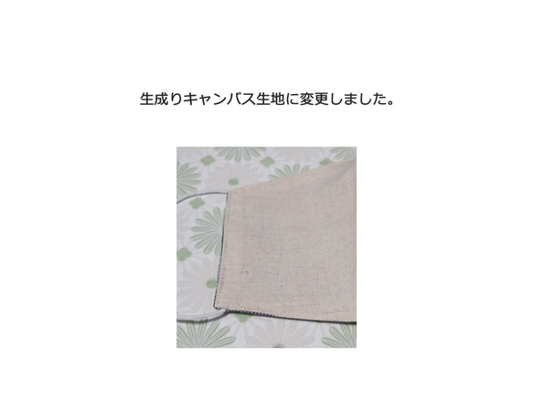 ポケット付きマスク　高機能フィルター付き裏側2色展開 2枚目の画像