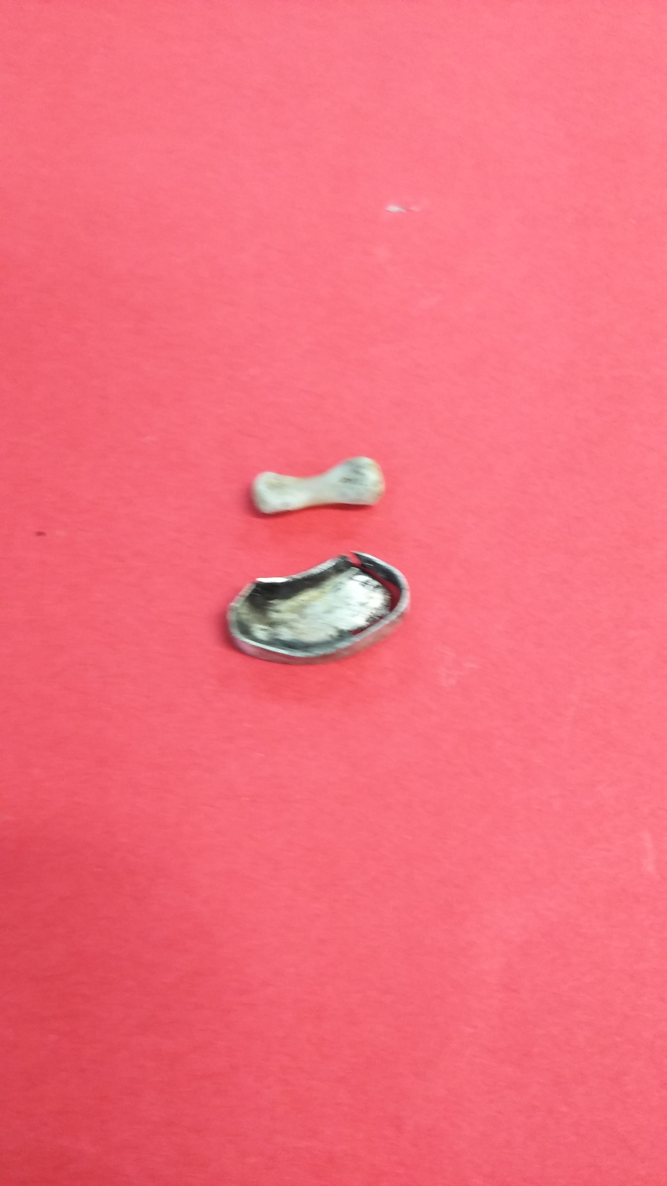 ワニ骨と銀枠のアクセサリー