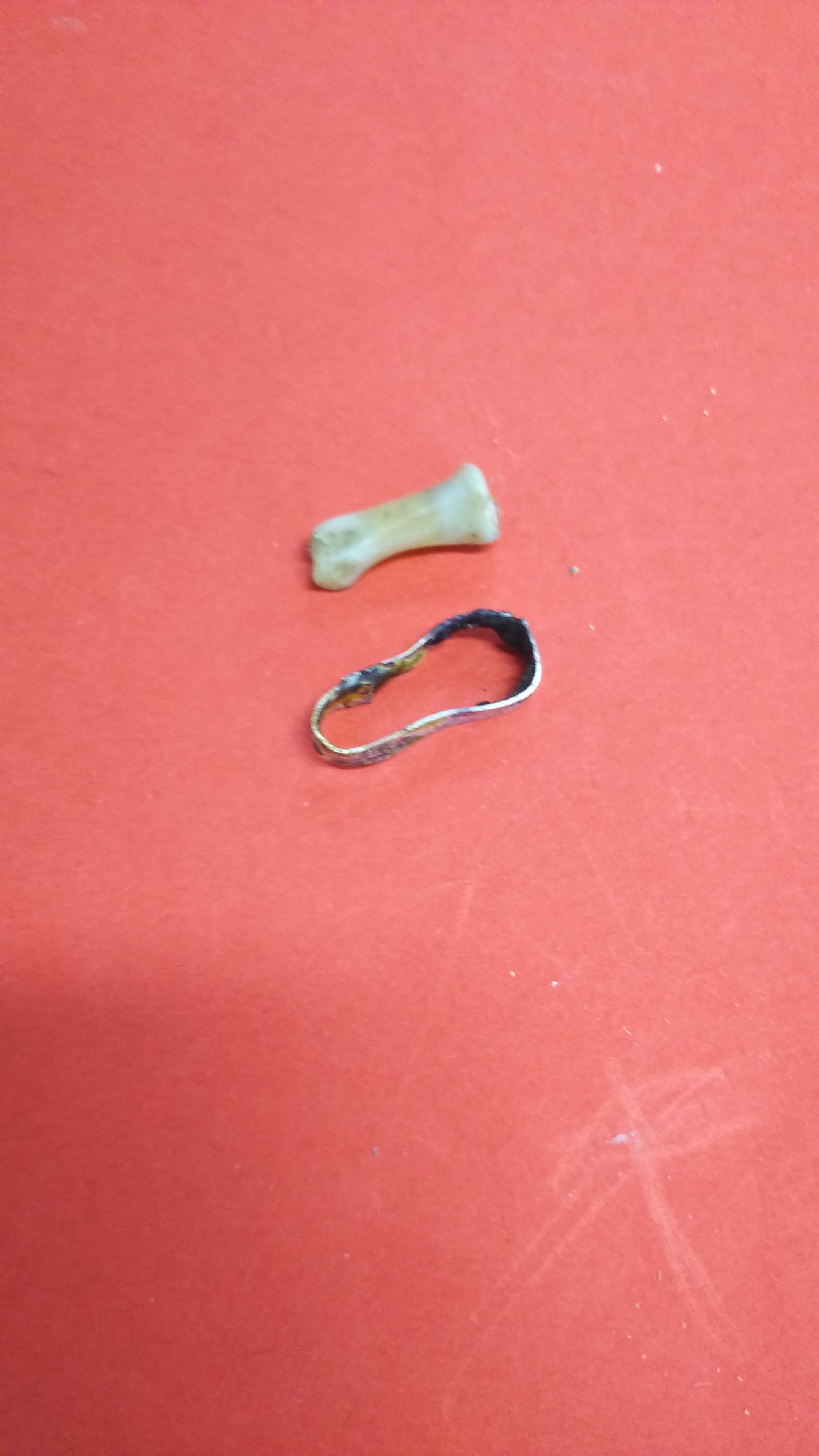 ワニ骨と銀枠のアクセサリー