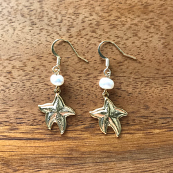 Starfish earrings 1枚目の画像