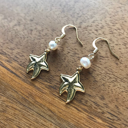 Starfish earrings 2枚目の画像