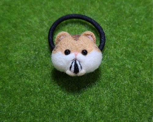 1_3892872c7c1059d8dd2567bccf30