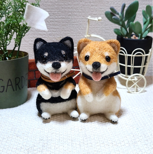 受注制作】羊毛フェルト 柴犬 オーダー 羊毛フェルト corron 通販