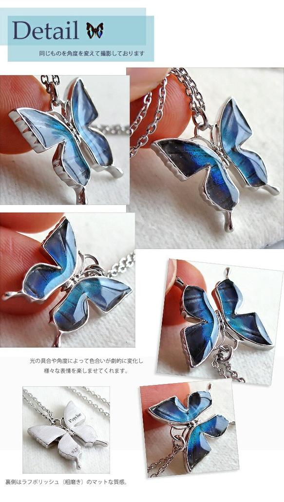 本物の蝶の羽　蝶ネックレス　ドクソコパチェルビナ　[ps004-gr] 4枚目の画像