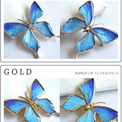 本物の蝶の羽　蝶ブローチ兼ペンダント　タミラスムラサキシジミ　[ps025-thamy] 2枚目の画像