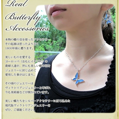 本物の蝶の羽 蝶ネックレス メネラウスモルフォ [ps028-bl