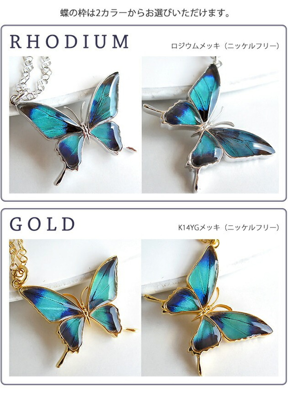 本物の蝶の羽　蝶ネックレス　ドクソコパチェルビナ　[ps028-gr] 2枚目の画像