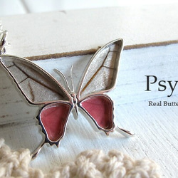 本物の蝶の羽　蝶ネックレス　スカシジャノメ　[ps028-su] 3枚目の画像