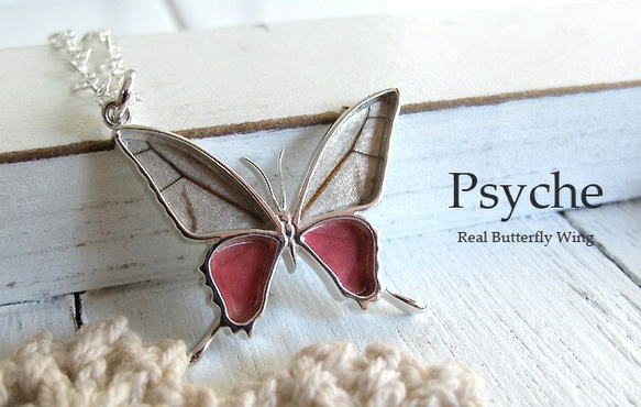 本物の蝶の羽　蝶ネックレス　スカシジャノメ　[ps028-su] 3枚目の画像