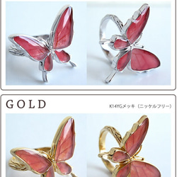 本物の蝶の羽　舞蝶リング　フリーサイズ　スカシジャノメ　[ps033-sukashi] 3枚目の画像