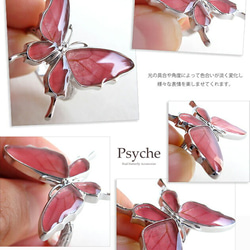 本物の蝶の羽　舞蝶リング　フリーサイズ　スカシジャノメ　[ps033-sukashi] 4枚目の画像