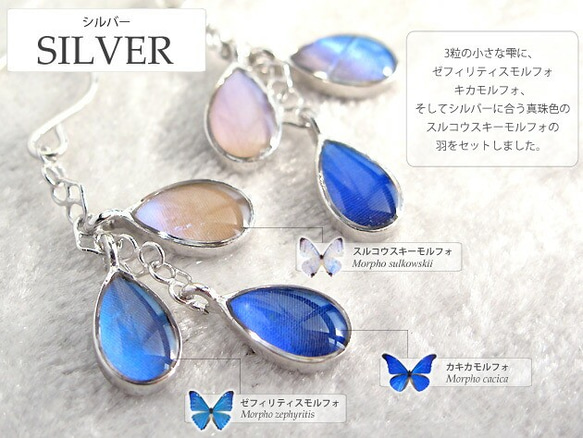 本物の蝶の羽　3粒雫  ピアス　3種類のモルフォ　[ps047-morpho] 4枚目の画像