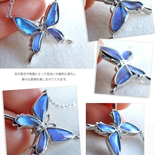 本物の蝶の羽 アゲハ蝶ネックレス エガモルフォ [ps049-aega