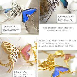本物の蝶の羽　透かしの二枚羽  蝶ブレスレット　4種類　[ps061] 3枚目の画像