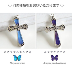 本物の蝶の羽　十字架　クロスネックレス　シルバー　[ps070s] 6枚目の画像