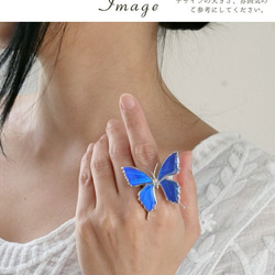 本物の蝶の羽　蝶リング　スルコウスキーモルフォ　[zps002g-sul] 4枚目の画像