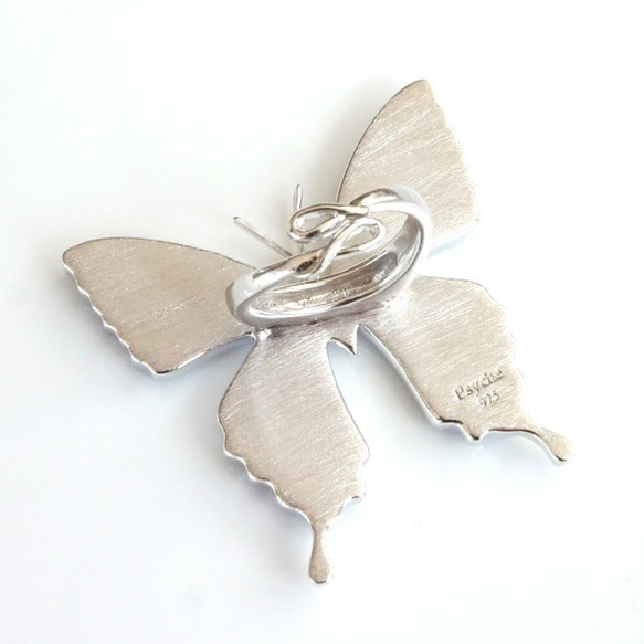 本物の蝶の羽　蝶リング　ドクソコパチェルビナ　[zps002r-gr] 3枚目の画像