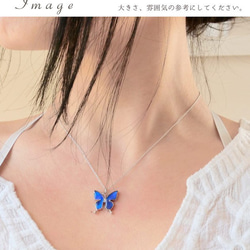 本物の蝶の羽　蝶ネックレス　スカシジャノメ　[zps004r-sk] 6枚目の画像