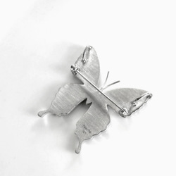 本物の蝶の羽　蝶ブローチ兼ペンダント　タミラスムラサキシジミ　[zps025r-thamy] 2枚目の画像