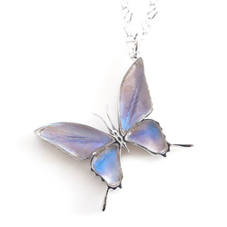 本物の蝶の羽　蝶ネックレス　オーロラモルフォ　[zps028r-auro] 1枚目の画像