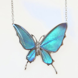 本物の蝶の羽 透かしデザインアゲハ蝶ネックレス スルコウスキー