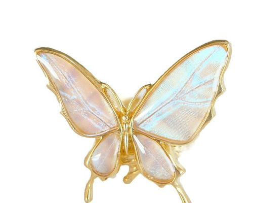 本物の蝶の羽 舞蝶リング フリーサイズ スルコウスキーモルフォ