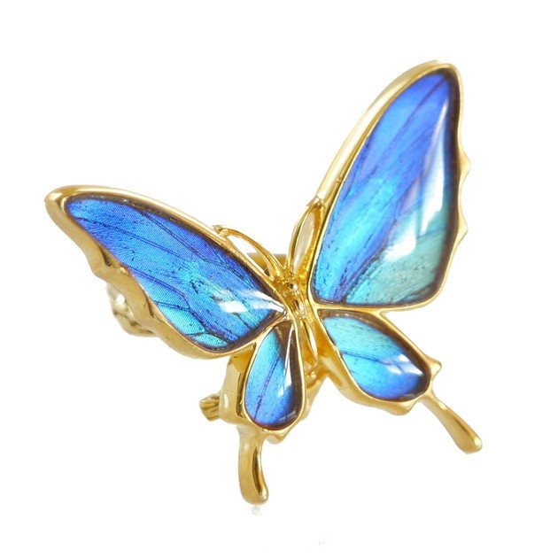 本物の蝶の羽　舞蝶リング　フリーサイズ　タミラスムラサキシジミ　[zps033g-thamy]