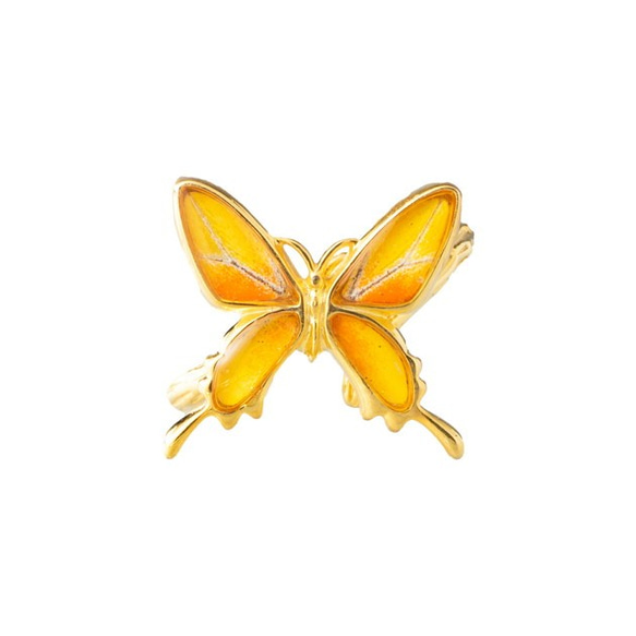 本物の蝶の羽　アゲハ蝶リング（フリーサイズ）　ツバメオオキチョウ　[zps050g-ki] 1枚目の画像