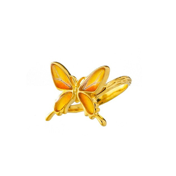 本物の蝶の羽　アゲハ蝶リング（フリーサイズ）　ツバメオオキチョウ　[zps050g-ki] 2枚目の画像