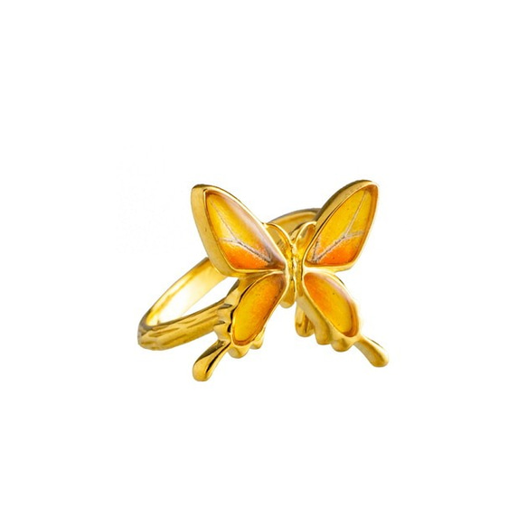 本物の蝶の羽　アゲハ蝶リング（フリーサイズ）　ツバメオオキチョウ　[zps050g-ki] 3枚目の画像