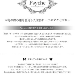 本物の蝶の羽　Psyche×Agehaコラボデザイン ペンダント　タミラスムラサキシジミ　[zps067i-thamy] 8枚目の画像