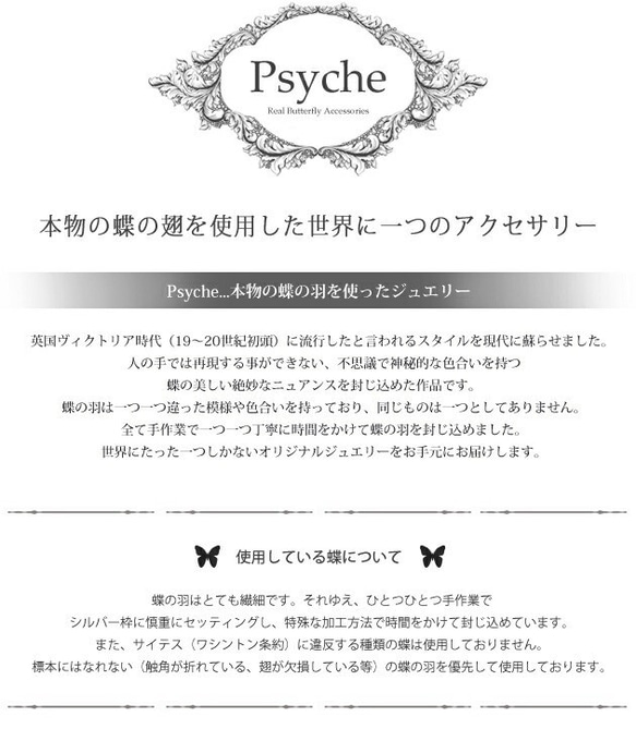 本物の蝶の羽　Psyche×Agehaコラボデザイン ペンダント　タミラスムラサキシジミ　[zps067i-thamy] 8枚目の画像