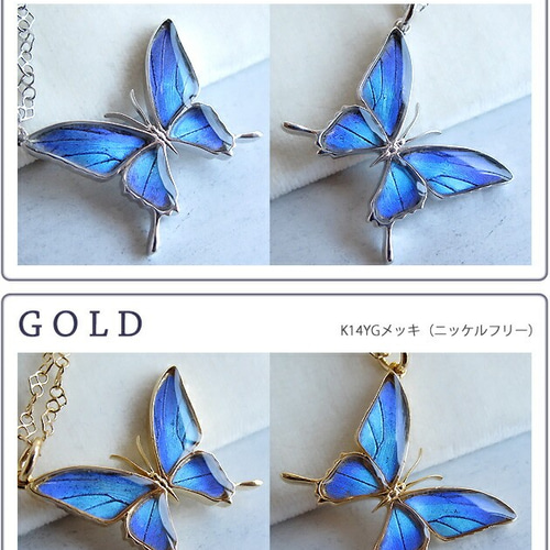 本物の蝶の羽 蝶ネックレス タミラスムラサキシジミ [ps028