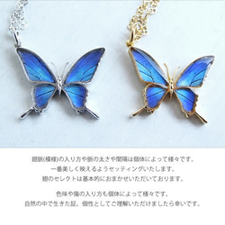 本物の蝶の羽　蝶ネックレス　タミラスムラサキシジミ　[ps028-thamy] 8枚目の画像